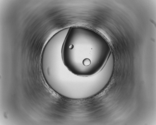 X0000096200948200802011256