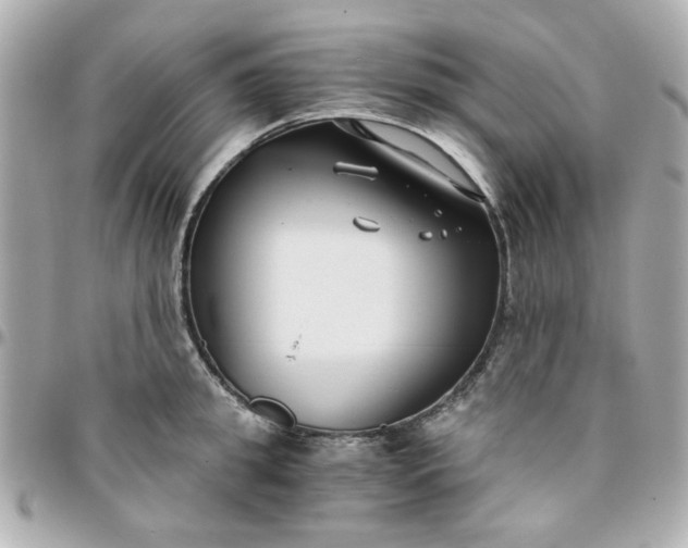 X0000096200949200802011256