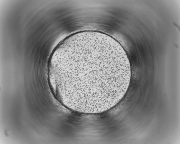 X0000096200950200802011256