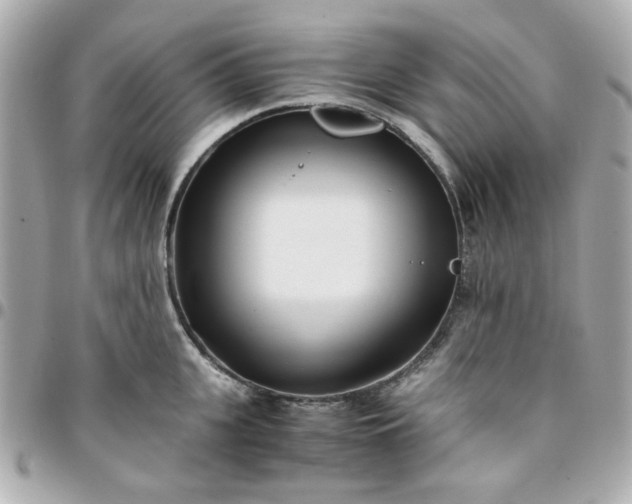 X0000096200951200802011256