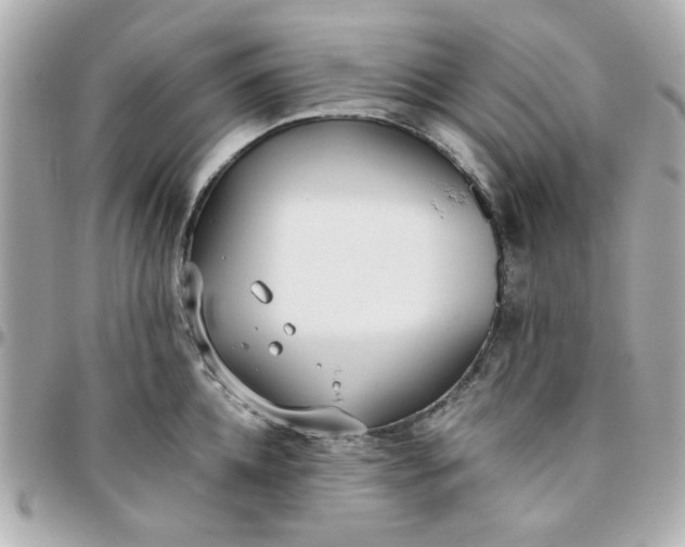 X0000096200952200802011256