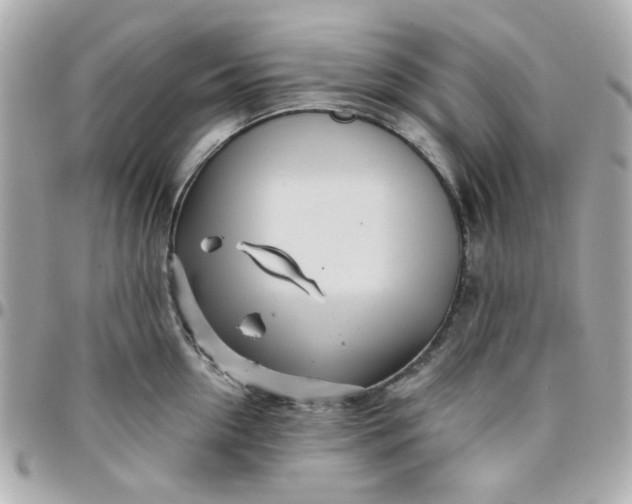 X0000096200954200802011256