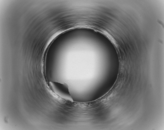 X0000096200955200802011256