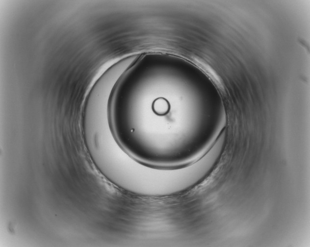 X0000096200956200802011257