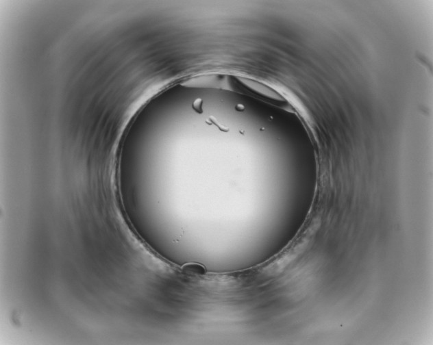 X0000096200957200802011257