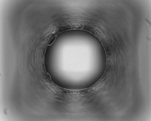 X0000096200961200802011256