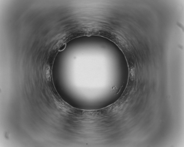 X0000096200963200802011256