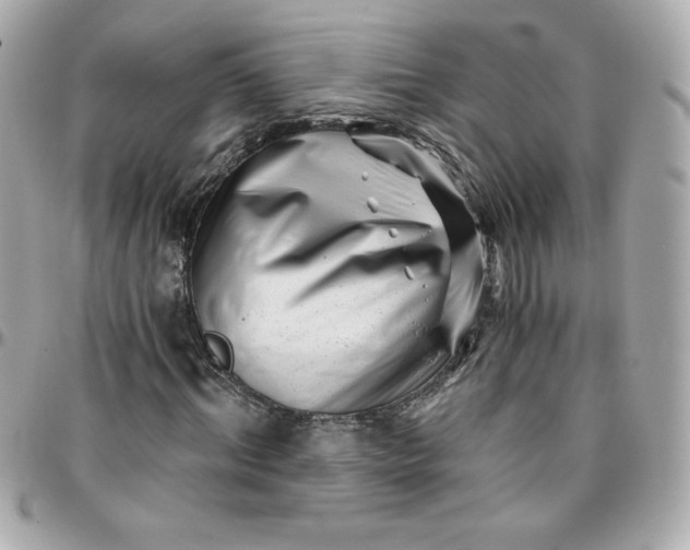 X0000096200964200802011256