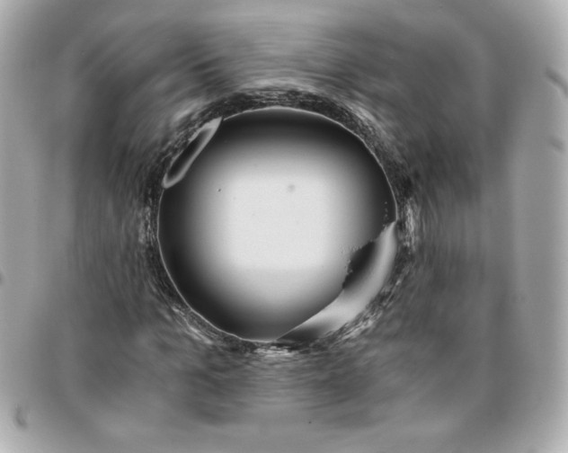 X0000096200965200802011256