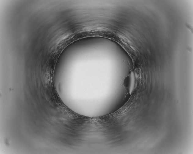 X0000096200966200802011256