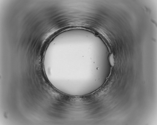 X0000096200971200802011256