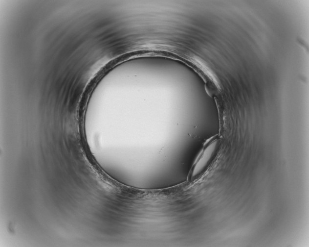 X0000096200972200802011256