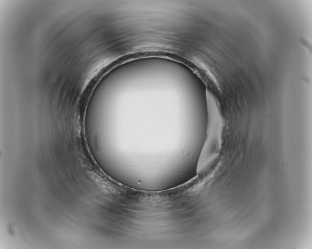 X0000096200973200802011256