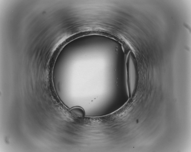 X0000096200975200802011256