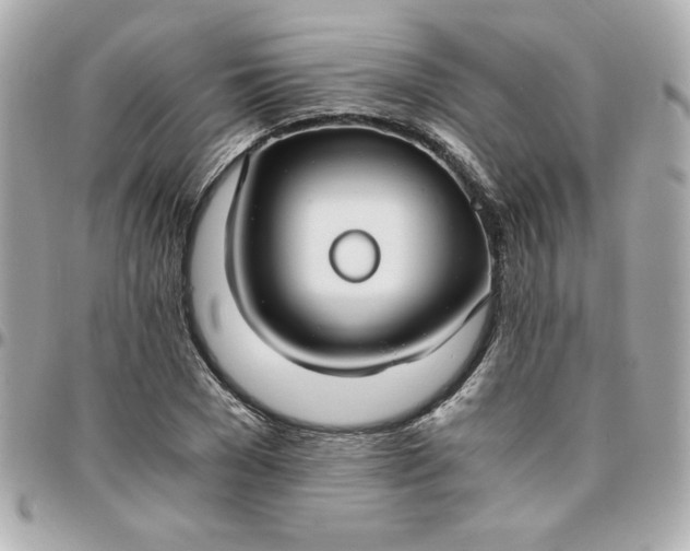 X0000096200977200802011256