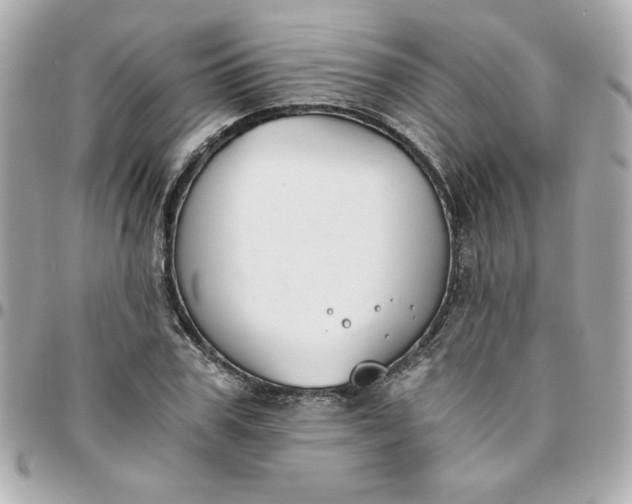 X0000096200979200802011255