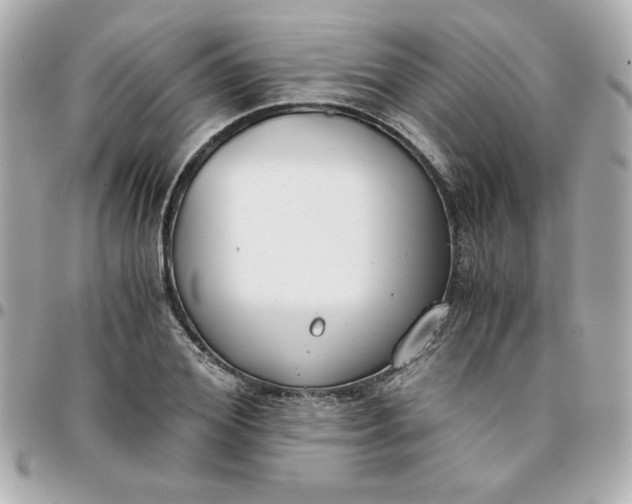 X0000096200980200802011255