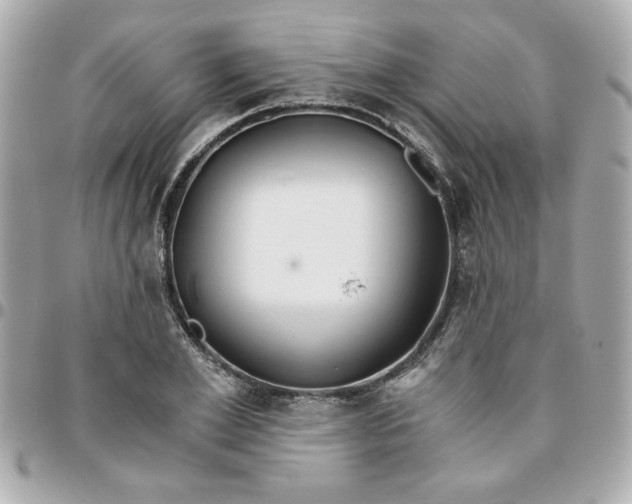 X0000096200981200802011255