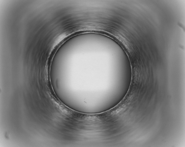 X0000096200982200802011255