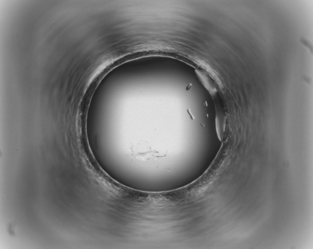 X0000096200983200802011255