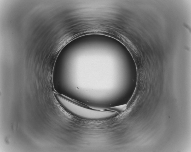 X0000096200985200802011255