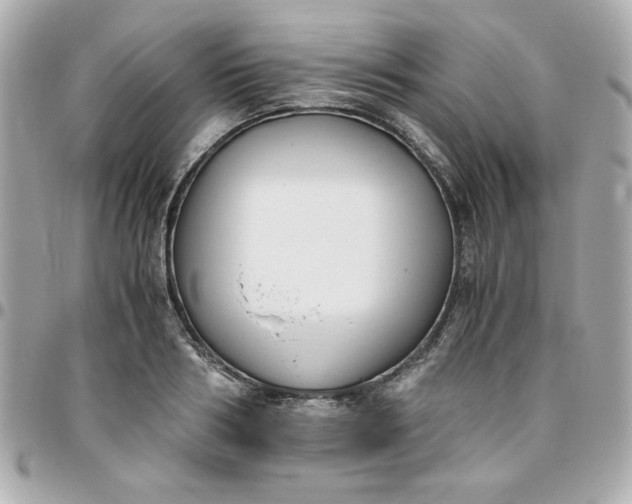 X0000096200986200802011255