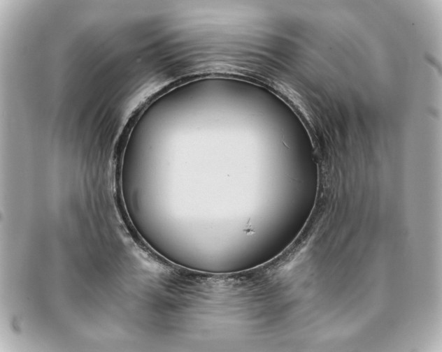 X0000096200987200802011255