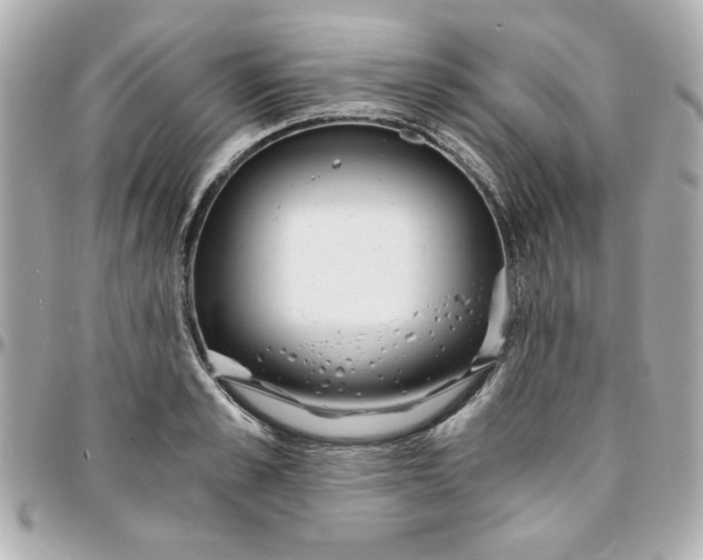 X0000096200989200802011255