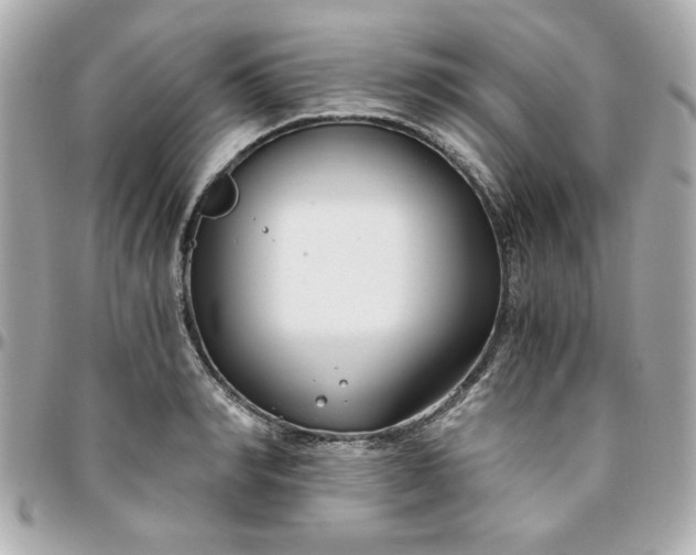 X0000096200990200802011255