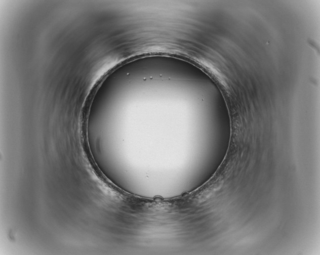 X0000096200991200802011255