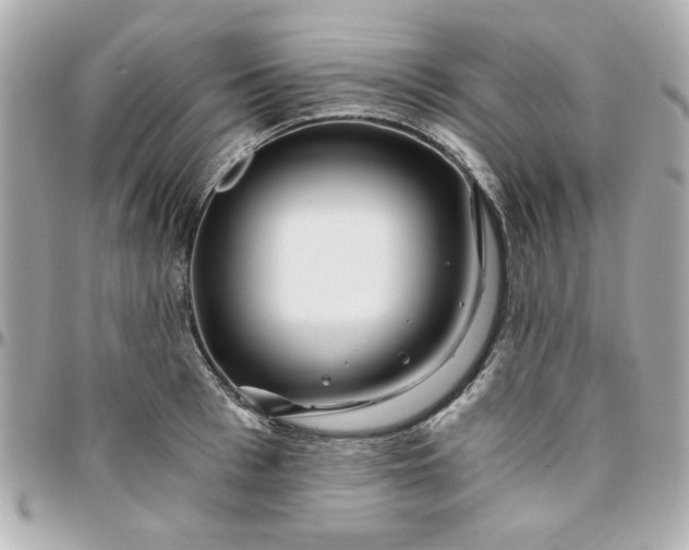 X0000096200993200802011255