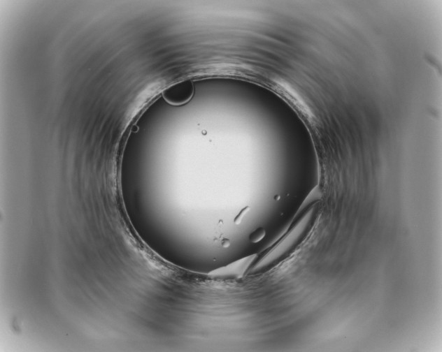 X0000096200994200802011255