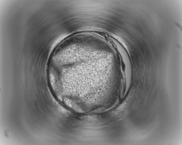 X0000096200995200802011255