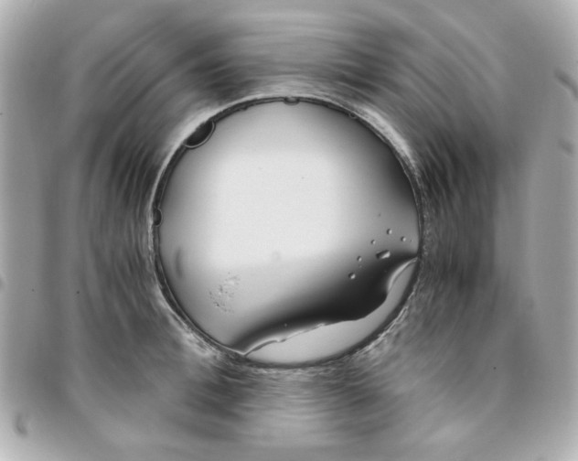 X0000096200996200802011255