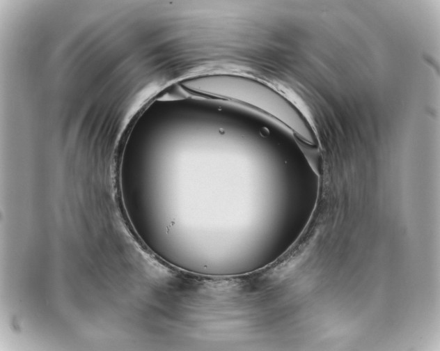 X0000096200997200802011255