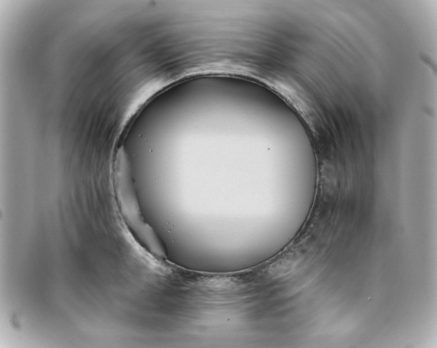 X0000096200998200802011255