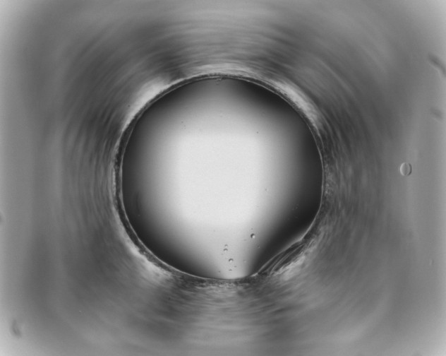 X0000096200999200802011255