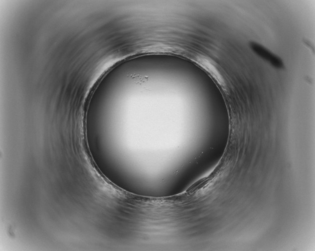 X0000096201000200802011255