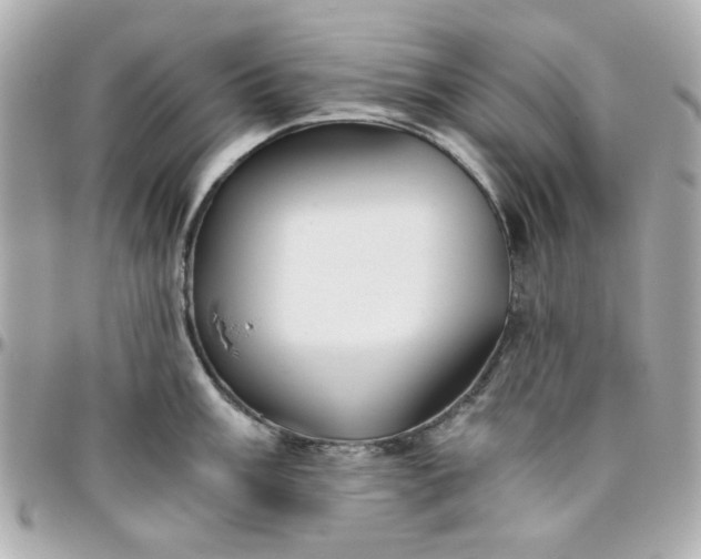 X0000096201003200802011255