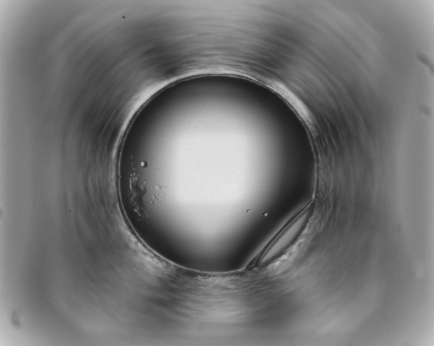 X0000096201004200802011255