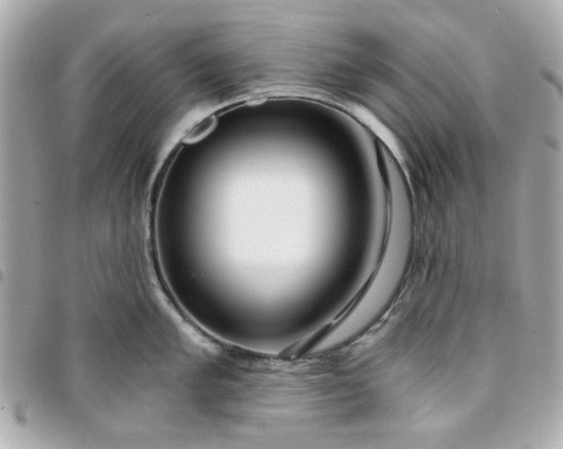 X0000096201005200802011255