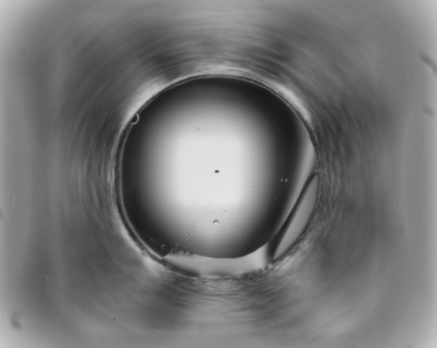 X0000096201007200802011255