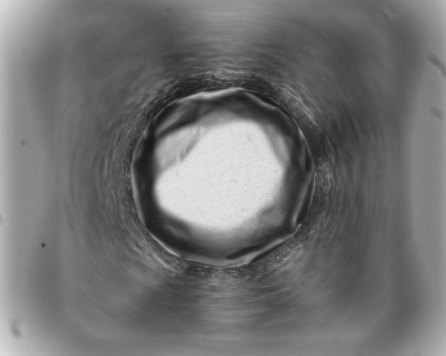 X0000096201009200802011254