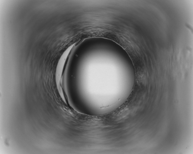 X0000096201010200802011254