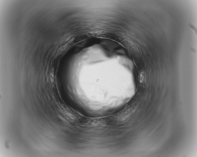 X0000096201011200802011254