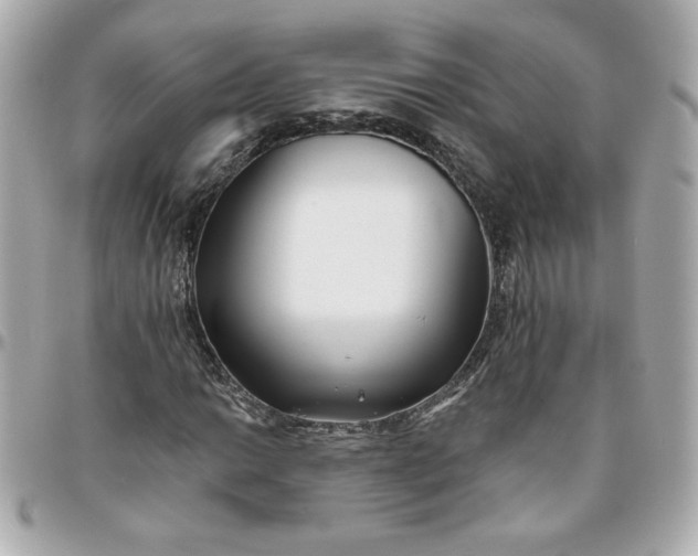 X0000096201014200802011255