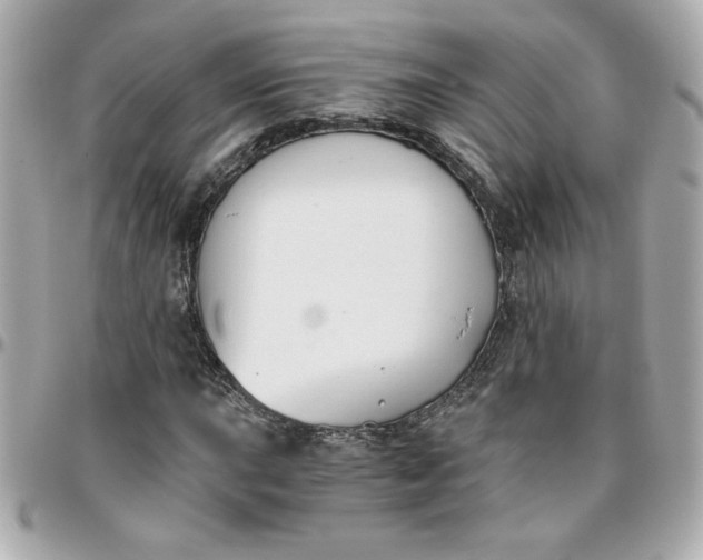 X0000096201015200802011255