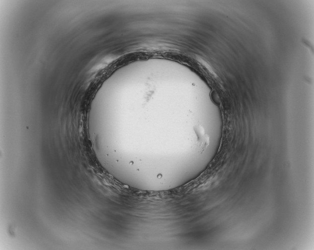 X0000096201016200802011255