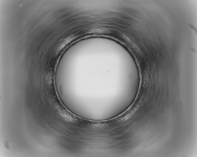 X0000096201017200802011255