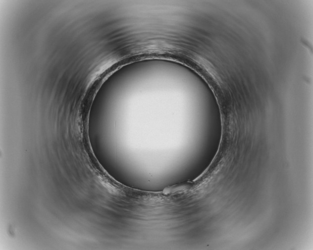 X0000096201018200802011255